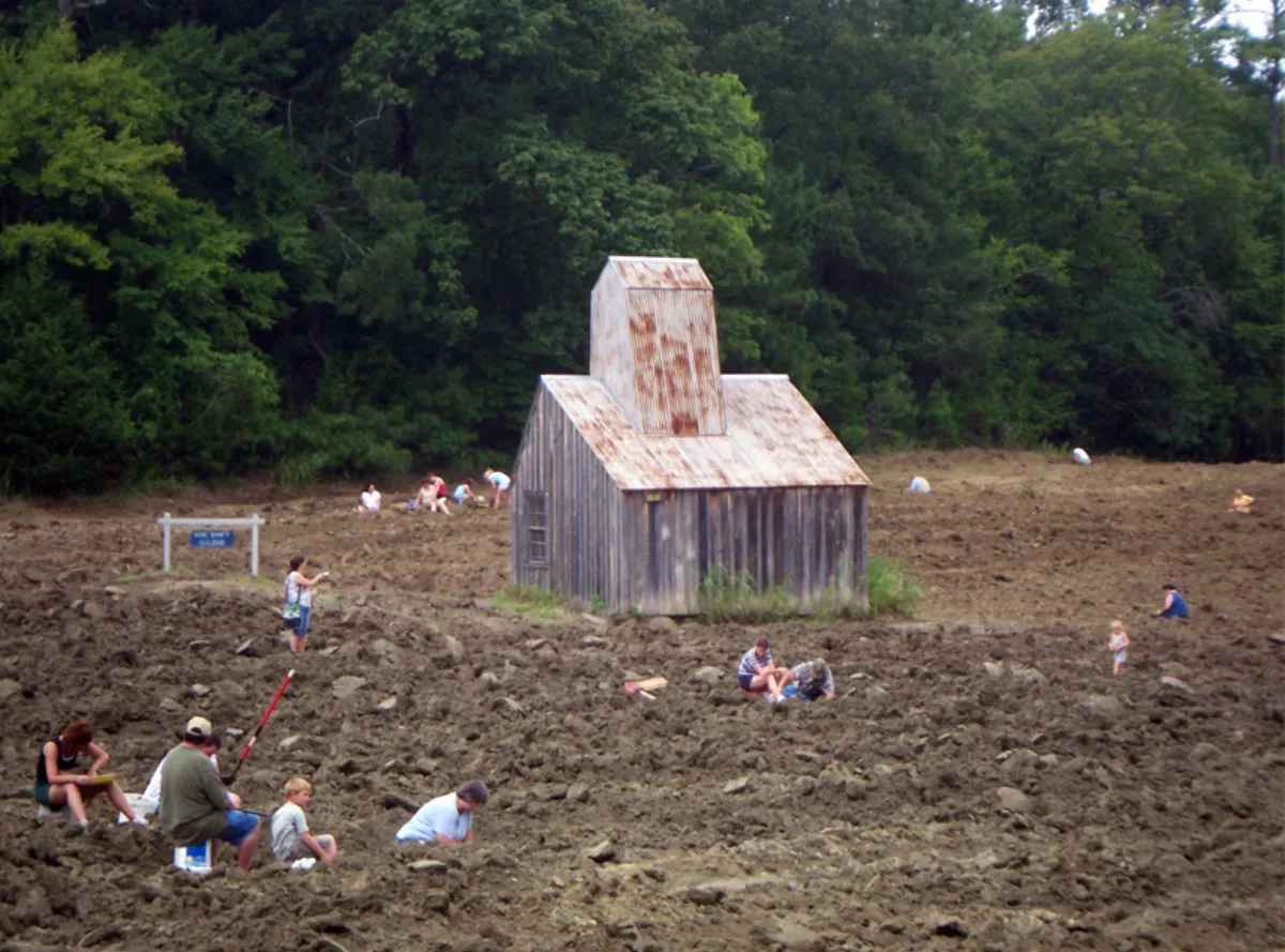 Collectors digging in the plowed search field at Crater of Diamonds State Park